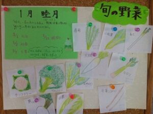 旬の野菜が分かる掲示板