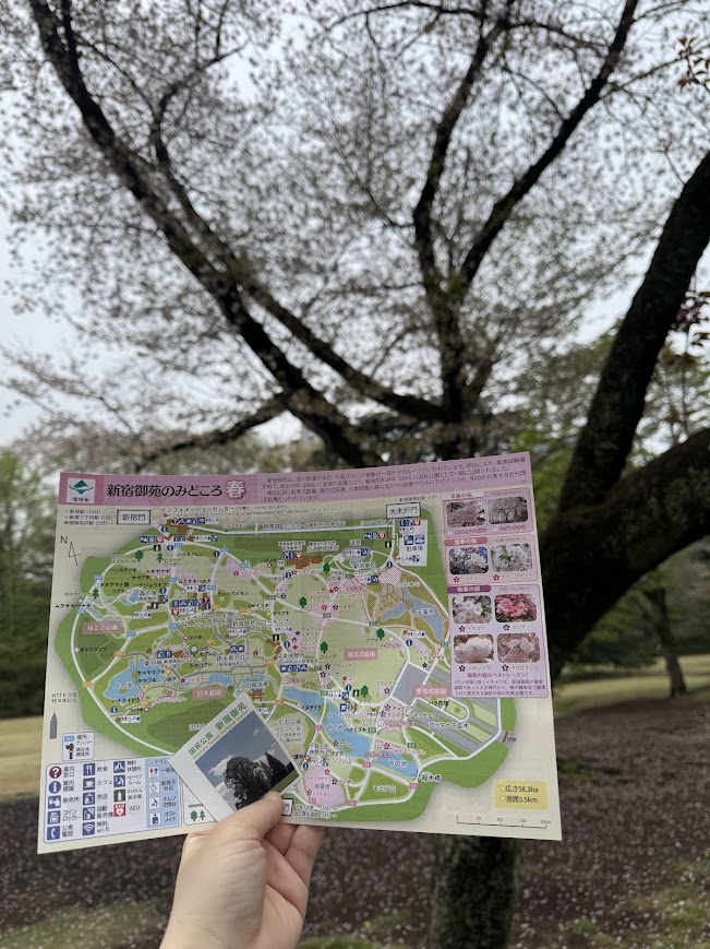避難訓練＆芳澍ウォーク