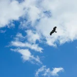 巣立ちの言葉発表会